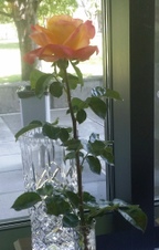 Enlarge photo 6