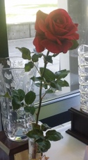 Enlarge photo 9