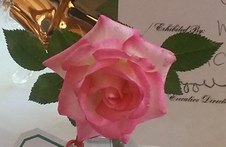 Enlarge photo 11