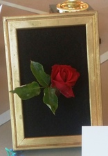 Enlarge photo 46