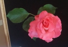 Enlarge photo 47