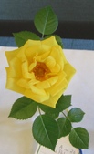 Enlarge photo 24