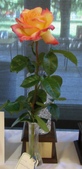 Enlarge photo 10