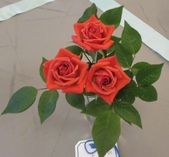 Enlarge photo 43