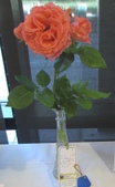 Enlarge photo 27