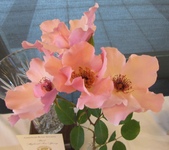 Enlarge photo 28