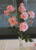 Enlarge photo 46