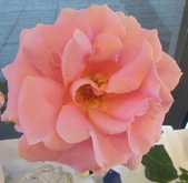 Enlarge photo 31