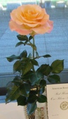 Enlarge photo 37