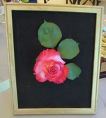 Enlarge photo 41