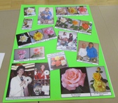 Enlarge photo 59