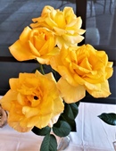 Enlarge photo 19