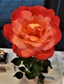 Enlarge photo 27