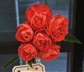 Enlarge photo 28