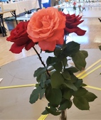 Enlarge photo 37