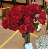 Enlarge photo 41