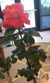 Enlarge photo 49