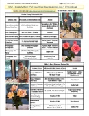 Enlarge photo 51