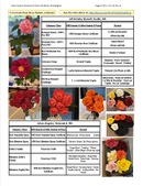 Enlarge photo 52