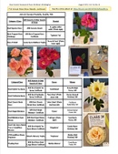 Enlarge photo 53