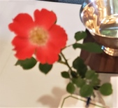Enlarge photo 26