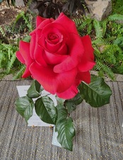 Enlarge photo 9