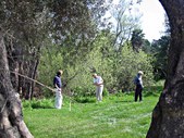 Enlarge photo 16