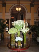 Enlarge photo 155