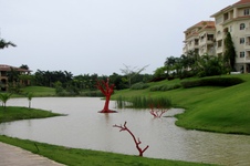 Enlarge photo 151