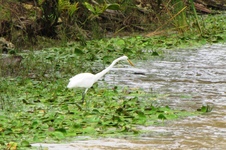 Enlarge photo 153