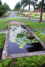 Enlarge photo 157