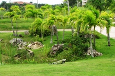 Enlarge photo 145