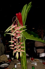 Enlarge photo 119