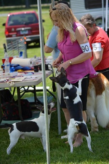 Pic's of us at Pocomtuc Rat Terriers