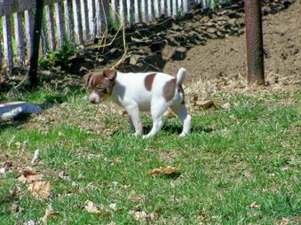 Enlarge photo 16