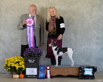 UKC GRCH. Pocomtuc's Oki-Doh-Ki Anoki