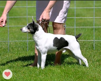 Enlarge photo 39