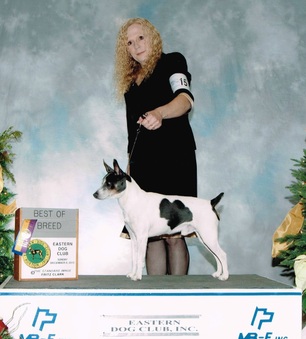AKC CH  Short's Flash of Blue Kitchi