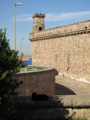 Enlarge photo 44