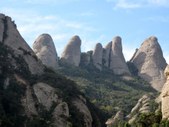 Enlarge photo 65