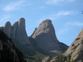 Enlarge photo 67