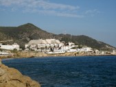 Enlarge photo 78