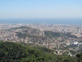 Enlarge photo 96