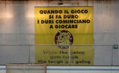 Enlarge photo 133