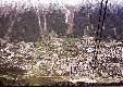 Enlarge photo 91