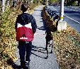 Enlarge photo 164