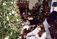 Enlarge photo 122