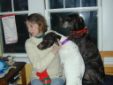 Enlarge photo 78