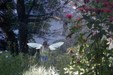 Enlarge photo 62