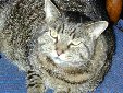 Enlarge photo 124